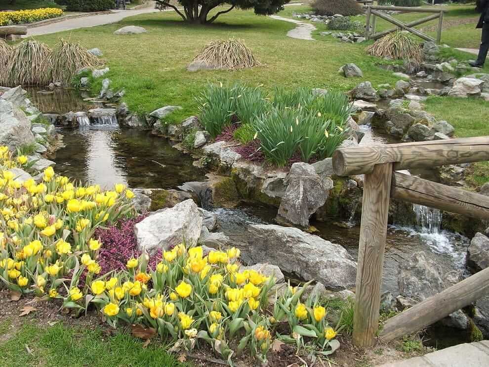 Камнями можно выложить искусственный ручей, возле которого высаживаются красивые цветы, например тюльпаны