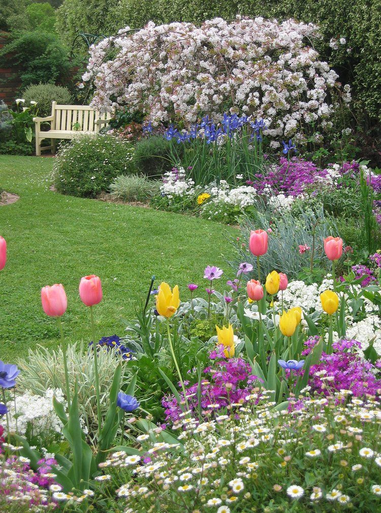 Заслуженной популярностью пользуются у садоводов милые весенние тюльпаны