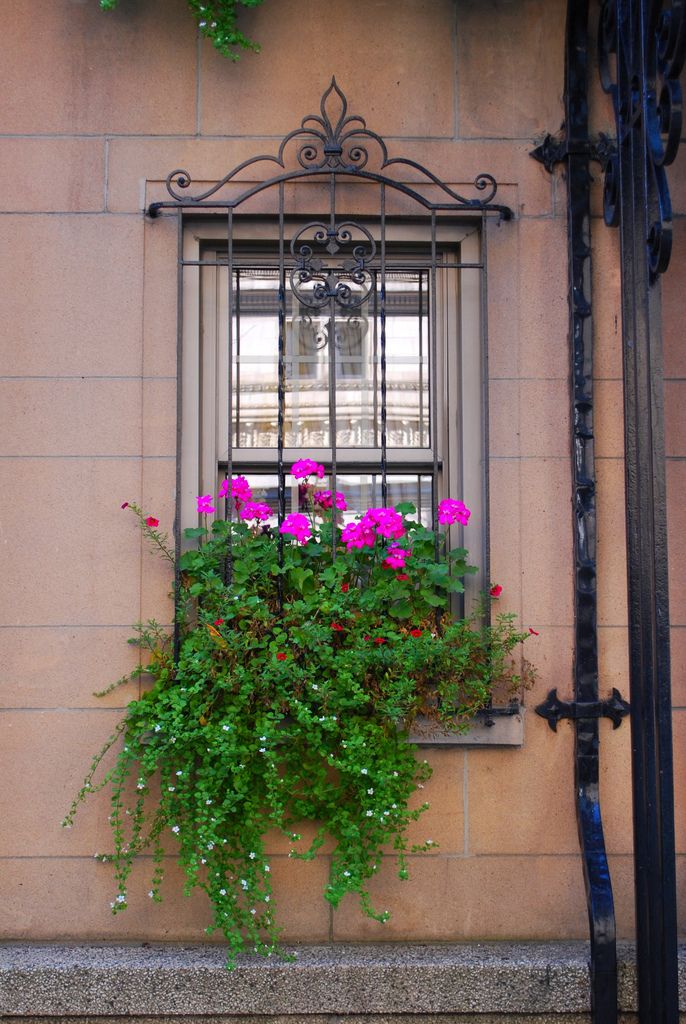 Окно с решеткой можно дополнительно украсить цветами в горшочке