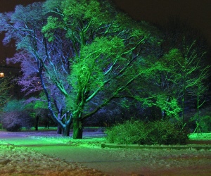 подсветка деревьев светодиодами	