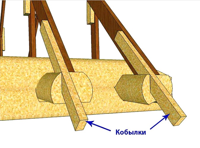 Кобылки в схематическом виде