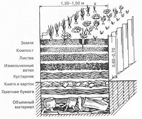 Схема расположения слоев для устройства теплой грядки. Толщина слоев может быть произвольной, но обычно слои делают толщиной 20 см.