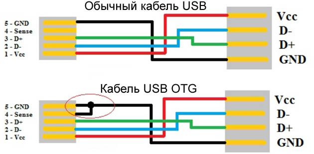 USB regular_cable_and_USB_OTG_cable