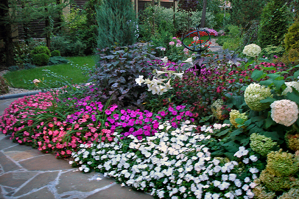 сочетание садовых цветов по размеру