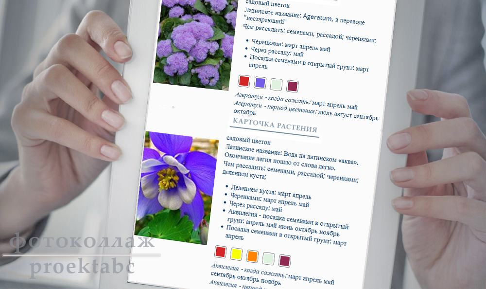 описание садовых цветов в каталоге с фотографиями и названиями