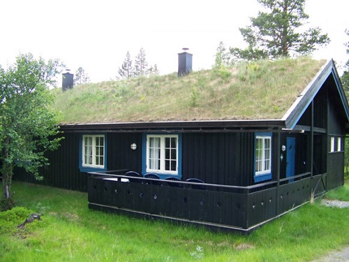 "Зеленая" крыша - фото