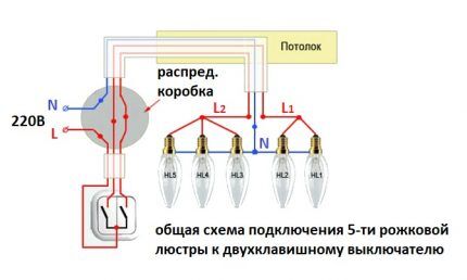 Схема подключения пятирожковой люстры