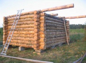 Проекты деревянных бань из бревна
