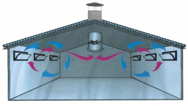 Вентиляция в курятнике – как сделать и зачем она нужна? 