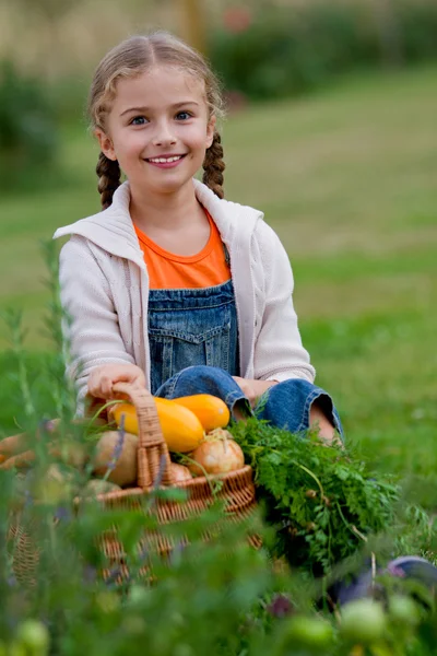 Овощной сад, для детей - прекрасная девушка с корзиной экологической урожаи — стоковое фото