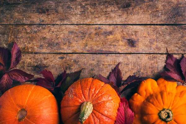 Осенние пищи фон с тыквы и разноцветные листья — стоковое фото