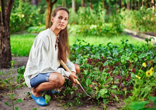 Молодая женщина с мотыгой, работающих в сад кровати — стоковое фото