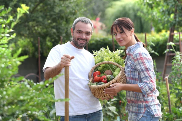Пара, стоял в саду с овощами — стоковое фото